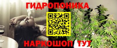 гидропоника Ливны