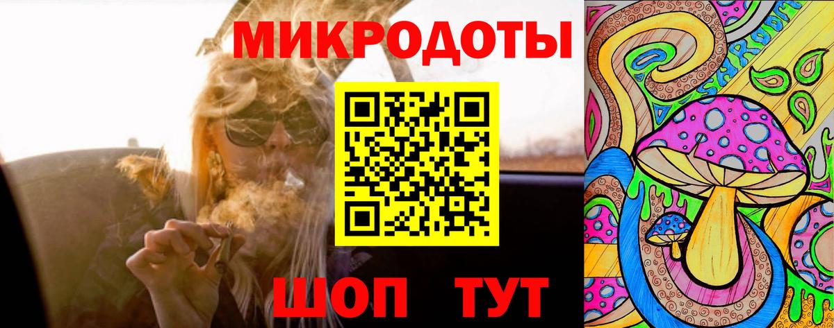 Губкинский  Псилоцибиновые грибы мицелий  Вход с VPN  Галлюциногенные грибы Psilocybe 